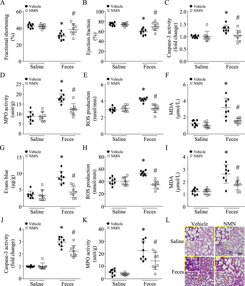 包含圖片、插圖等的外部文件。
對(duì)象名稱為 12967_2023_4767_Fig2_HTML.jpg