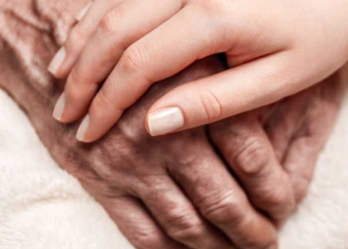 古特生物 古特生物