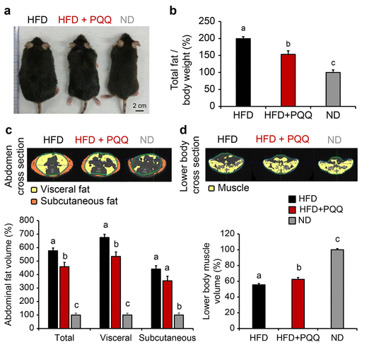 古特生物 研究實(shí)驗(yàn)