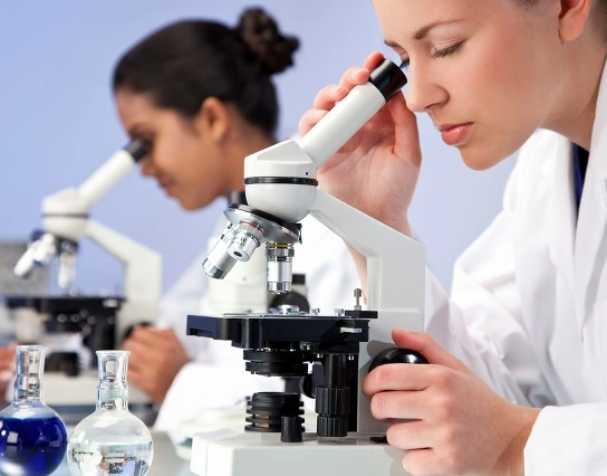 SAMe可用于治療ADHD嗎？