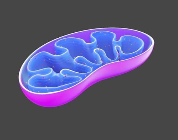 古特生物 緩解特定疾病癥狀